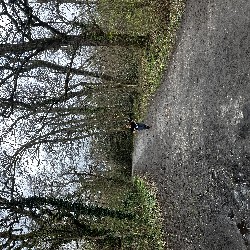IMG_2946.JPG