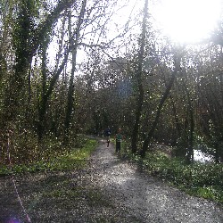 P1010015.JPG
