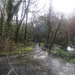 P1010017.JPG